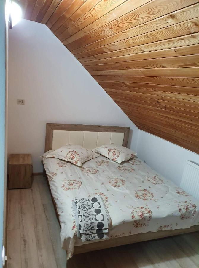 Vila Aslam Gura Humorului Exterior foto