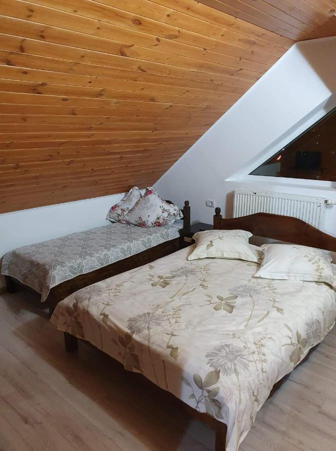 Vila Aslam Gura Humorului Exterior foto