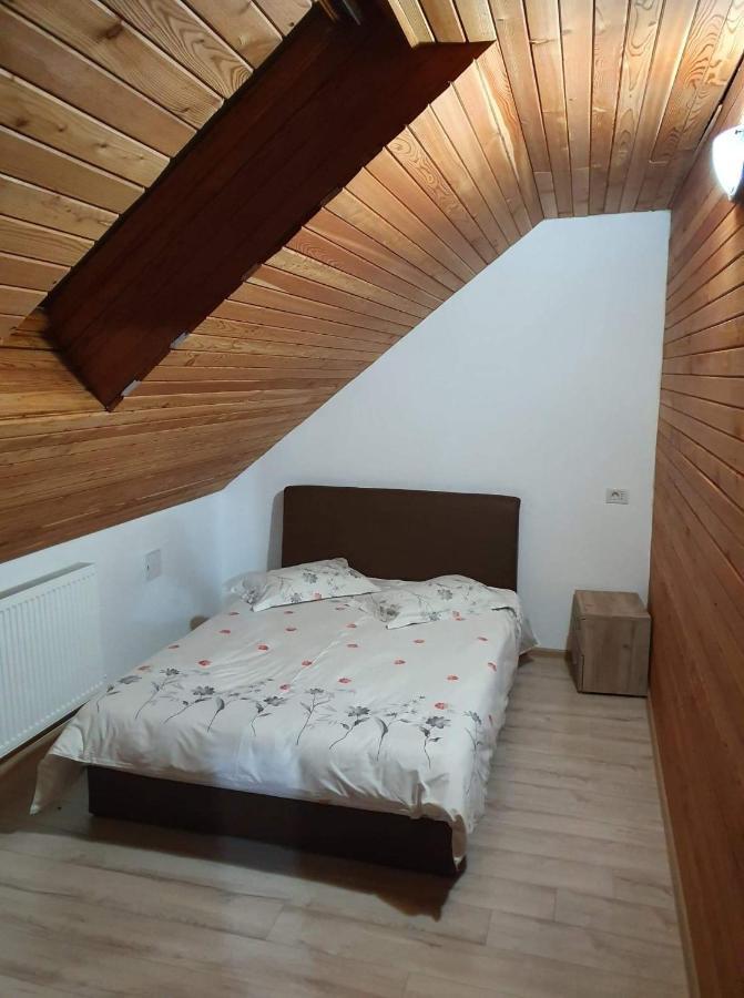 Vila Aslam Gura Humorului Exterior foto